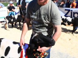 2019_ausstellung polling_550